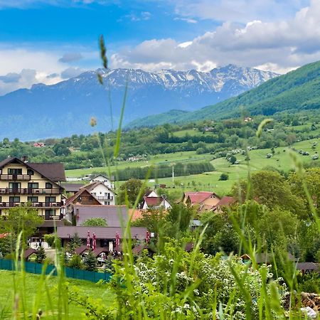Vila Hora Cu Brazi Zărneşti Kültér fotó