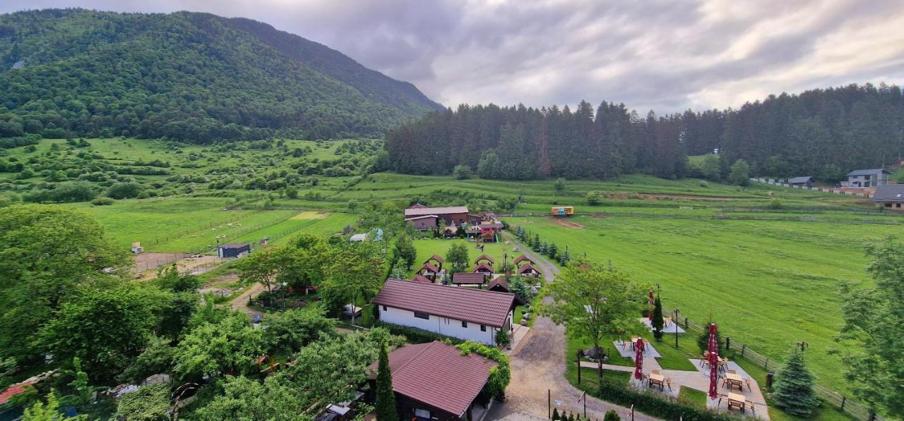 Vila Hora Cu Brazi Zărneşti Kültér fotó