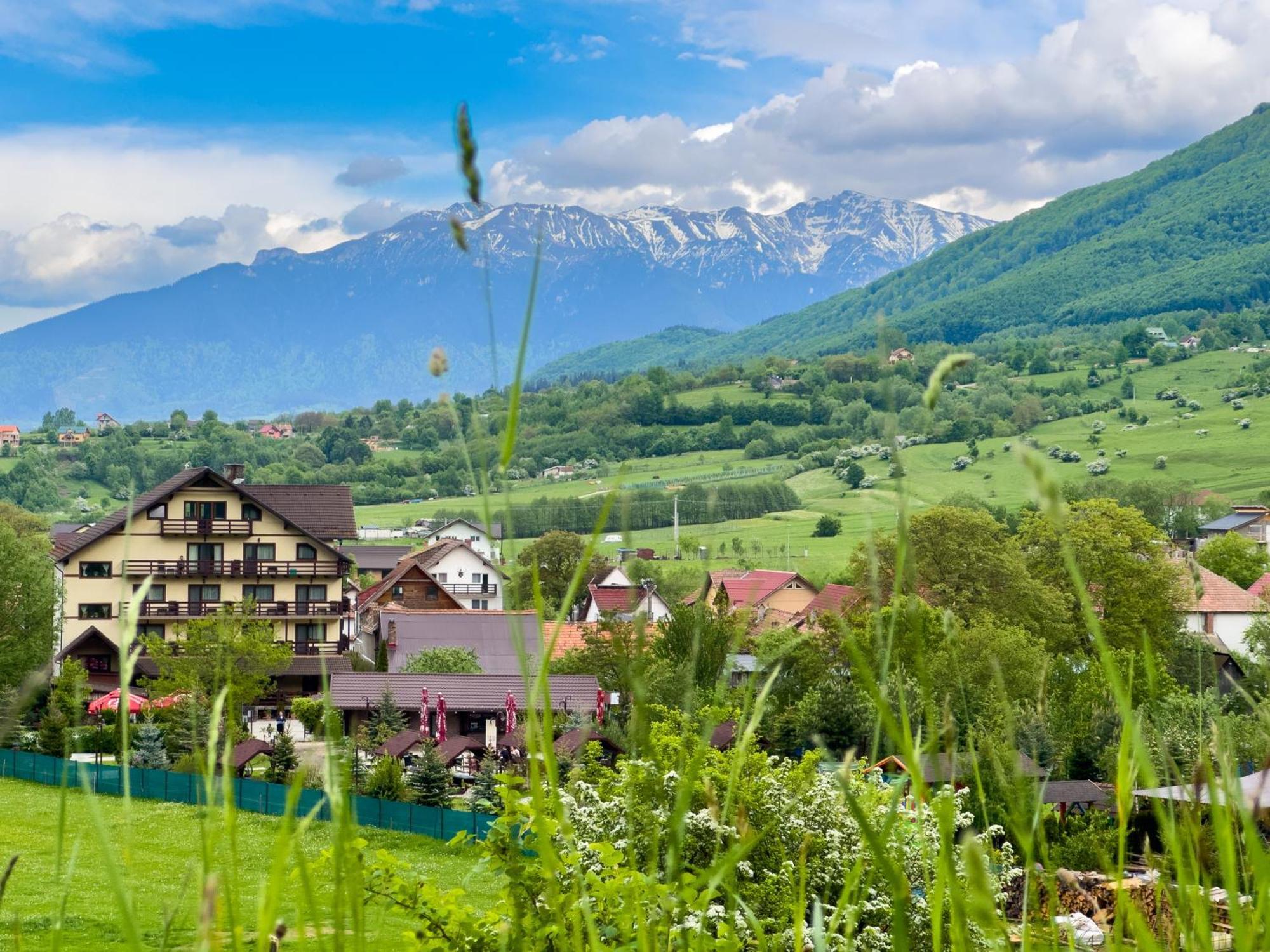 Vila Hora Cu Brazi Zărneşti Kültér fotó