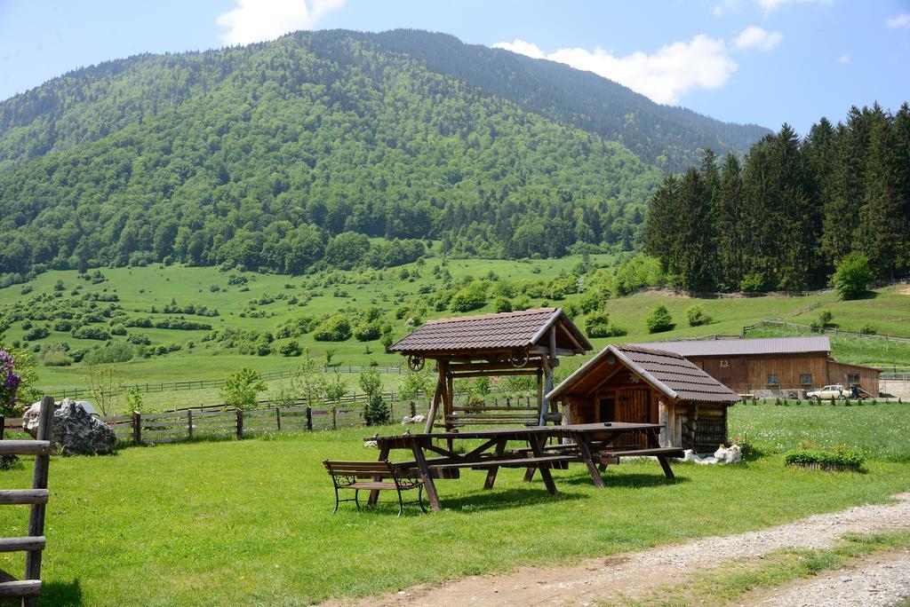 Vila Hora Cu Brazi Zărneşti Kültér fotó