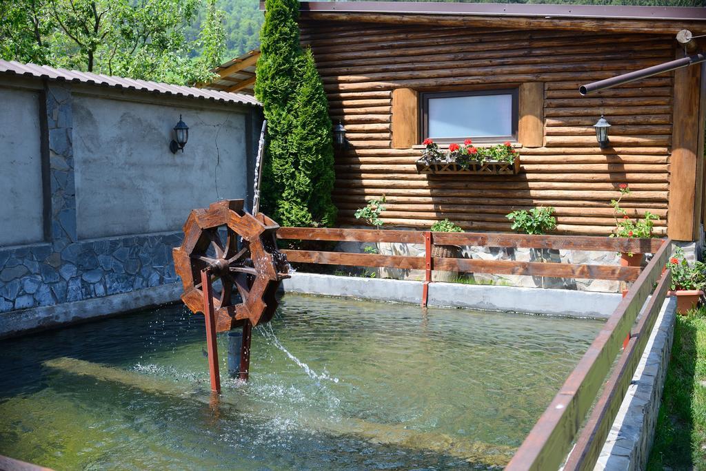 Vila Hora Cu Brazi Zărneşti Kültér fotó